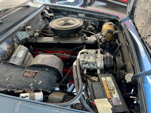 GM - Chevrolet Caravan Comodoro 4.1/2.5