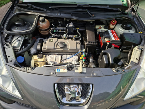 Foto do veículo PEUGEOT 207 XR 1.4 Flex 8V 5p 2009/2009 ID: 89778