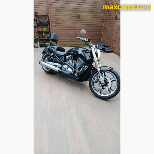 HARLEY-DAVIDSON V-ROD 1250cc MUSCLE VRSCF — foto 1
